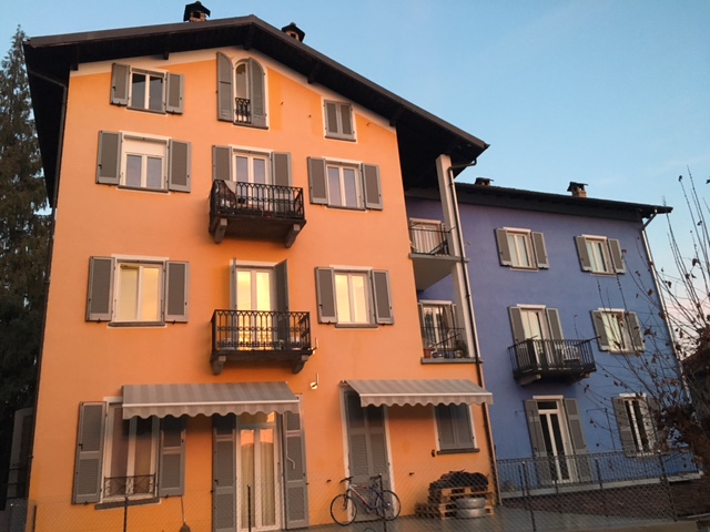 Stabile Edelweiss, Muralto